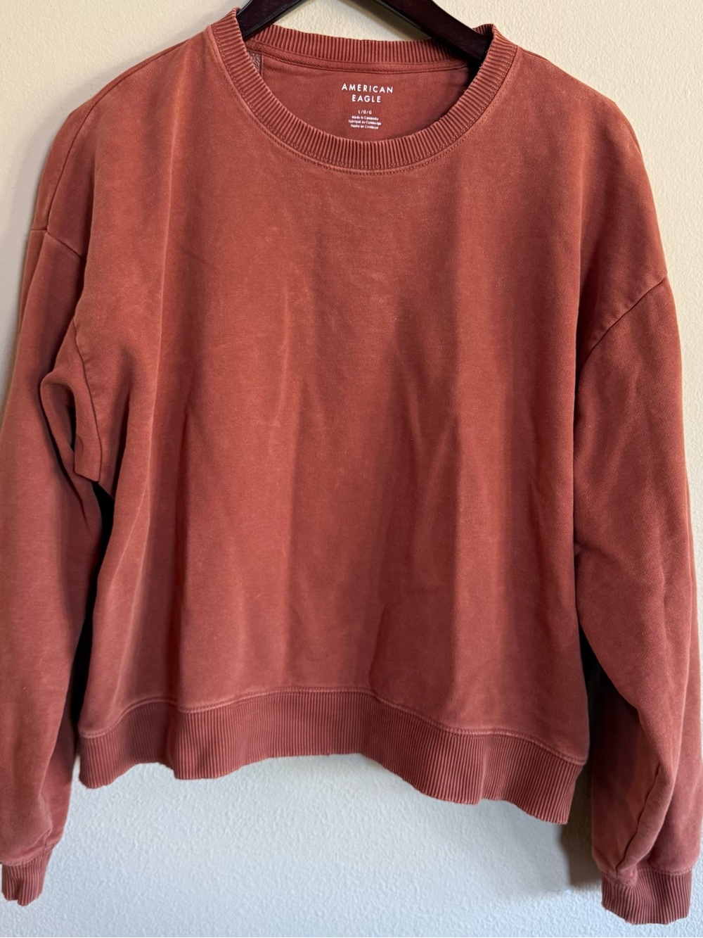 American Eagle Outfitters Women's Rust Crewneck Pullover